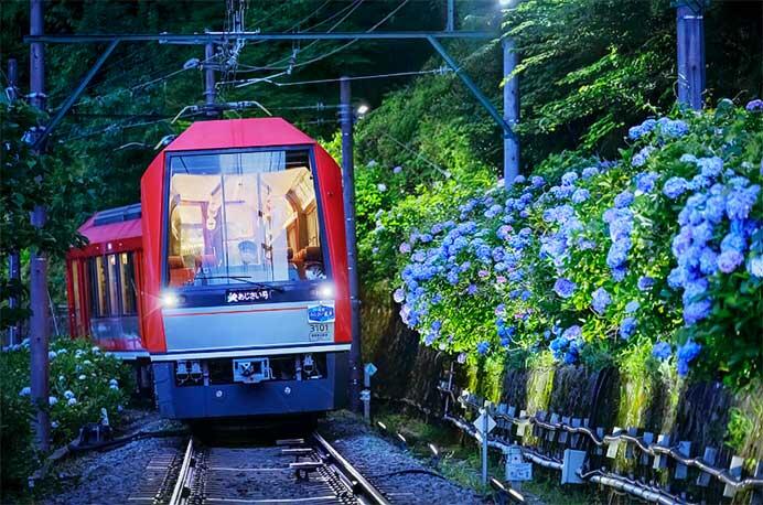 箱根登山鉄道，夜のあじさい号を運転