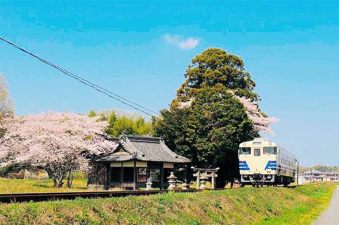 「キハから景色をひとりじめ！助手席添乗in北条鉄道」の参加者募集