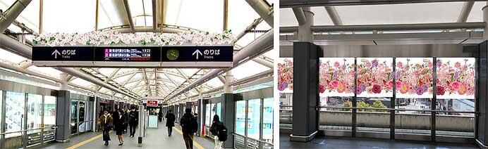 日暮里・舎人ライナー2駅に「舎人公園 千本桜まつり」にあわせた装飾を実施