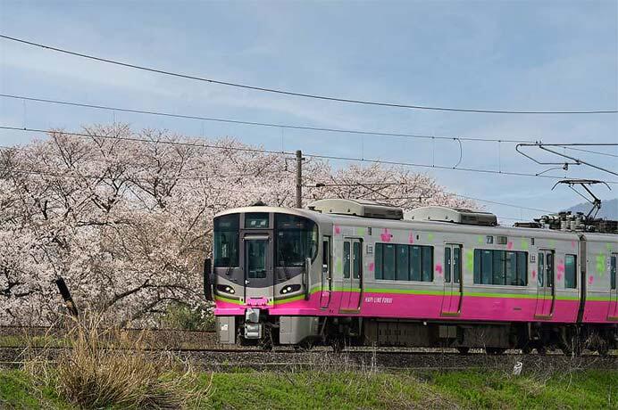 ハピラインふくい開業1周年記念「南福井行き特別列車」の参加者募集