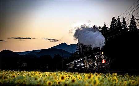 第12回「SL大樹のある風景」フォトコンテスト最優秀作品