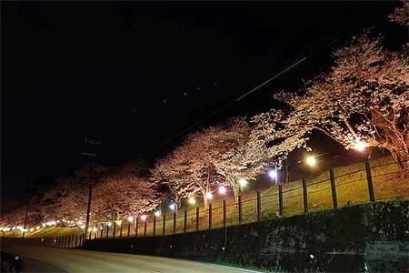 2025年「ちょうちん」によるライトアップ