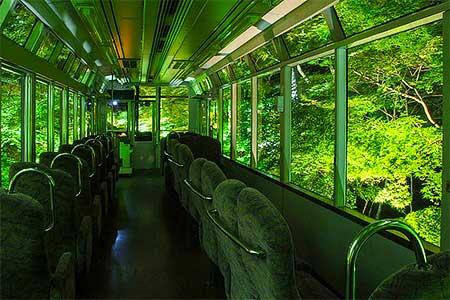 「青もみじ新緑のライトアップ」過去開催時のようす