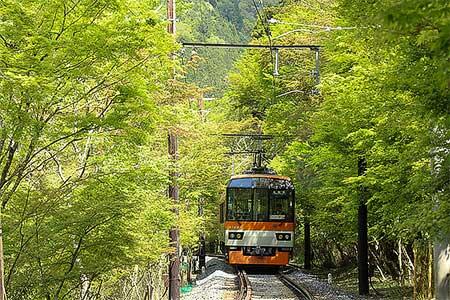 市原駅～二ノ瀬駅間の「青もみじのトンネル」