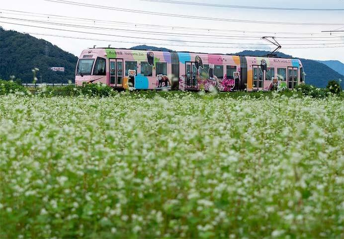 令和7年度 第9回 最優秀作品「鯖江の花道」