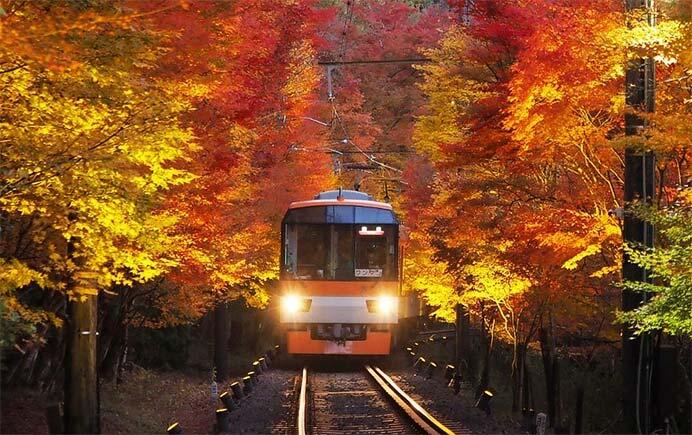 叡電，「もみじのトンネル」区間で徐行運転とライトアップを実施