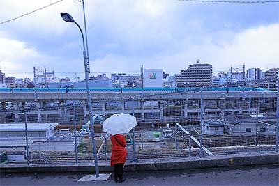 雨の日散歩（1）