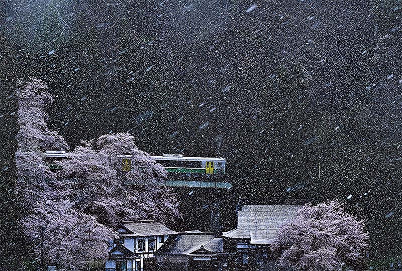 桜隠しの雪
