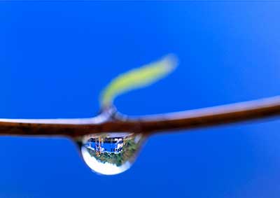 グラデーション（1）