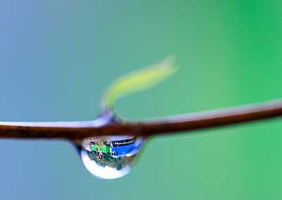 グラデーション（2）