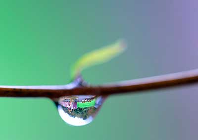 グラデーション（4）