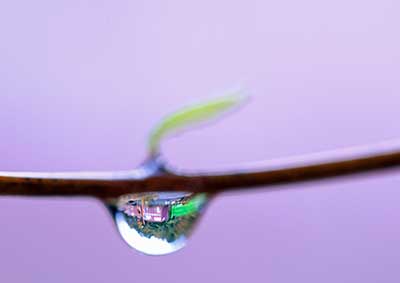 グラデーション（5）