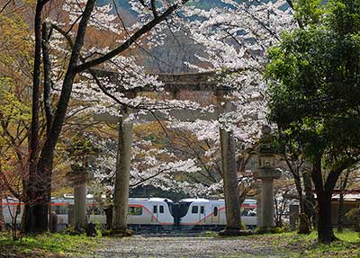 神に守られし四季（1）