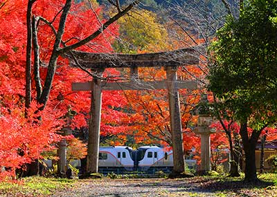 神に守られし四季（3）