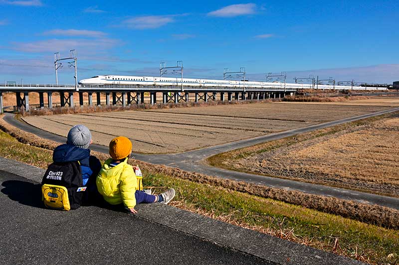 イエローの走る日に