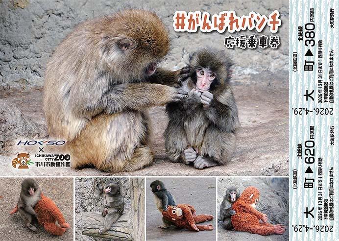 「＃がんばれパンチ 応援乗車券」